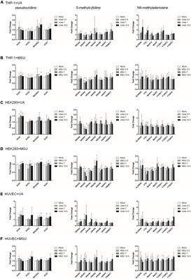 Exploring RNA modifications, editing, and splicing changes in hyperuricemia and gout